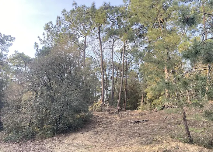 Dom wakacyjny Belle Maison D'armateur Sablais - 6 Pers